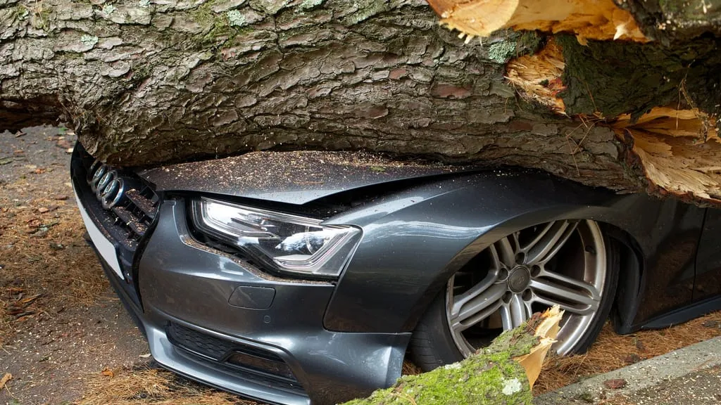 Kfz-Versicherung wechseln: Der Stichtag im November