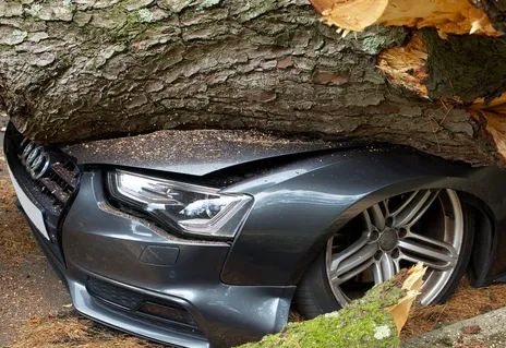 Kfz-Versicherung wechseln: Der Stichtag im November