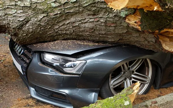 Kfz-Versicherung wechseln: Der Stichtag im November
