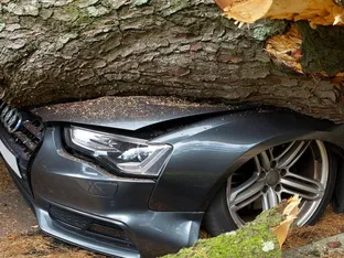 Kfz-Versicherung wechseln: Der Stichtag im November
